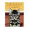Mr. Cat Announces Move with New Address