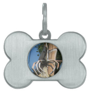 Mr Crustacean AKA Lobster Head ... Buddhist Hell Pet ID Tag