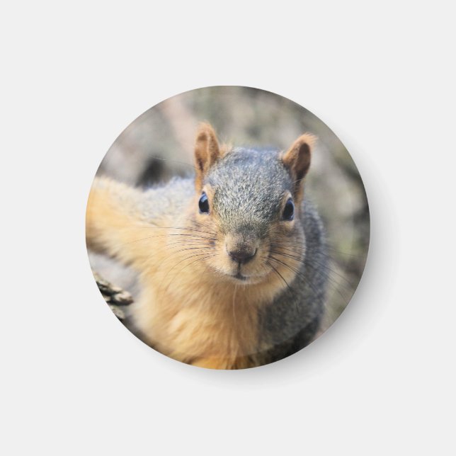 Mr.Cutie Magnet (Front)