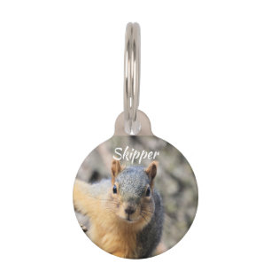 Mr.Cutie Pet Tag