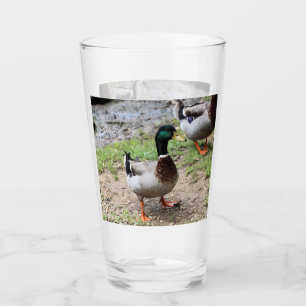 Mr. Duck Glass