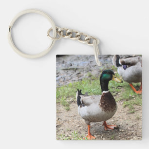 Mr. Duck Keychain