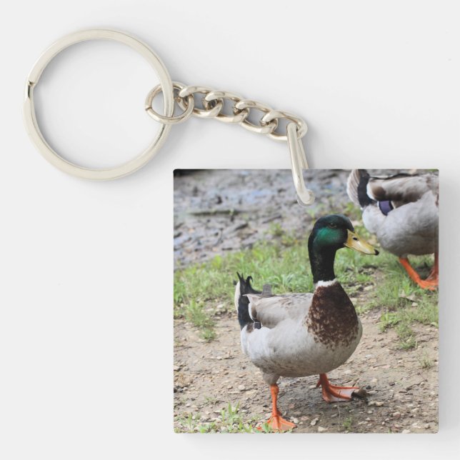 Mr. Duck Keychain (Front)