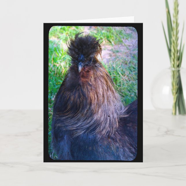 Mr. Fluffy the Silkie Rooster Card (Front)