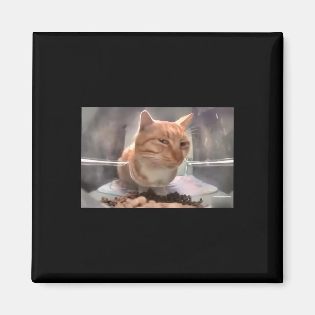 Mr Fresh Cat Meme Side Eye Cat  Magnet (Front)