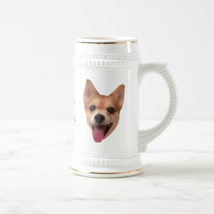 Mr. Goo stein
