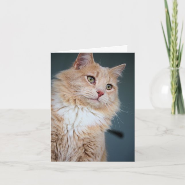 Mr, Handsome Card (Front)