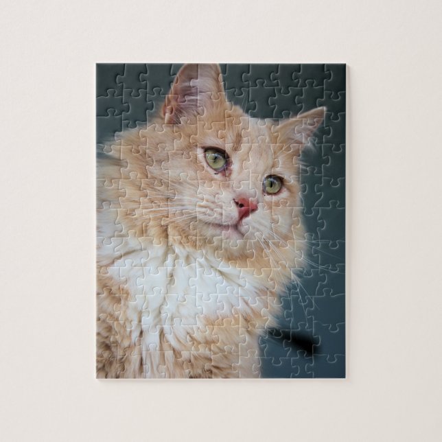 Mr. Handsome Jigsaw Puzzle (Vertical)