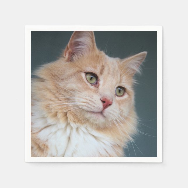 Mr. Handsome Napkin (Front)