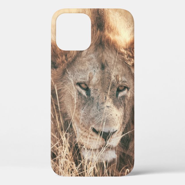 MR LION KING Case-Mate iPhone CASE (Back)