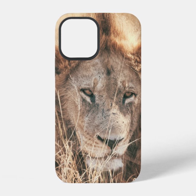 MR LION KING iPhone CASE (Back)
