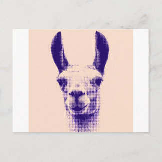 Mr Llama Postcard