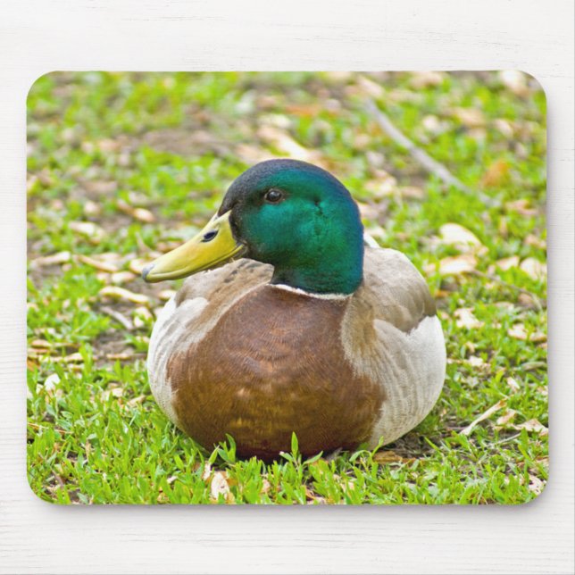 Mr. Mallard the Duck Mouse Pad (Front)