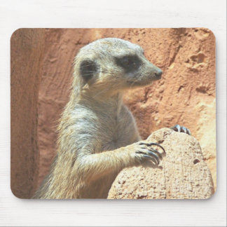 Mr Meerkat Mouse Pad