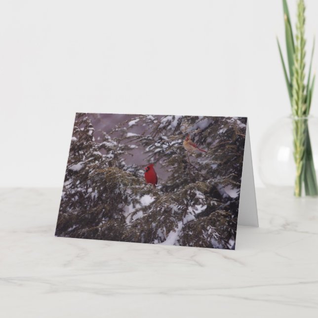 Mr & Mrs Cardinal Holiday Card (Front)