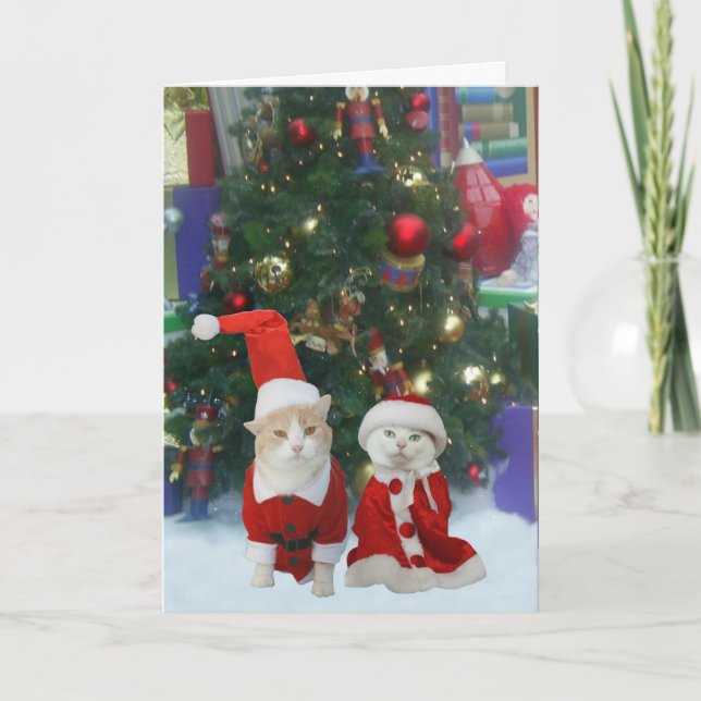 Mr. & Mrs. Kitty Claws Holiday Card (Front)