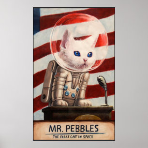 MR PEBBLES - High Quality Poster