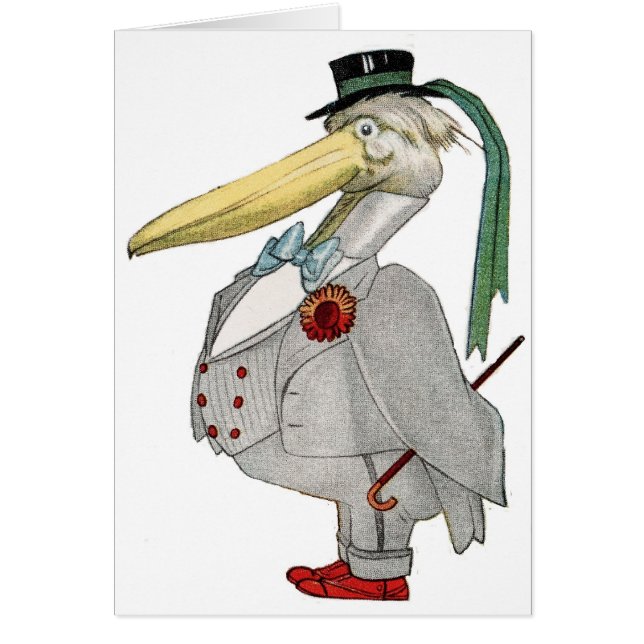 MR. PELICAN (Front)