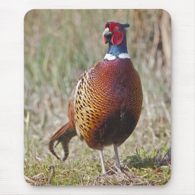 Mr Pheasant Mousemat Mouse Pad (Front)