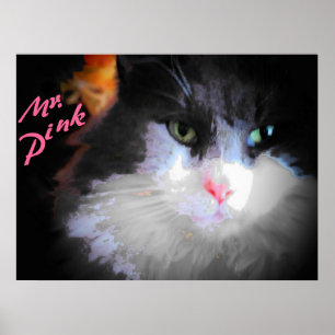 Mr. Pink by djoneill Poster