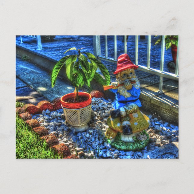 Mr. Piper Gnome - Postcard (Front)
