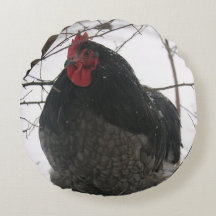 Mr. Precious - Rooster on Round Pillow