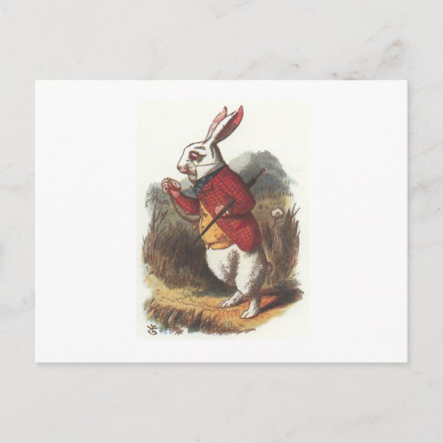 Mr Rabbit! Postcard (Front)