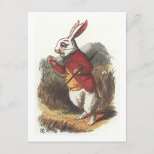Mr Rabbit! Postcard