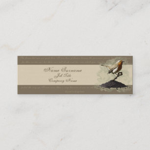 Mr. Robin Finds the Key, business card template