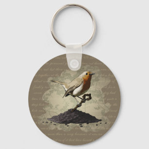 Mr. Robin Finds the Key, keychain