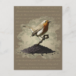 Mr. Robin Finds the Key, postcard