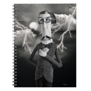 Mr. Rzykruski Notebook