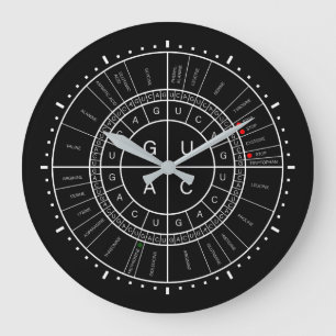 mRNA to AMINO ACID CODON WHEEL Large Clock