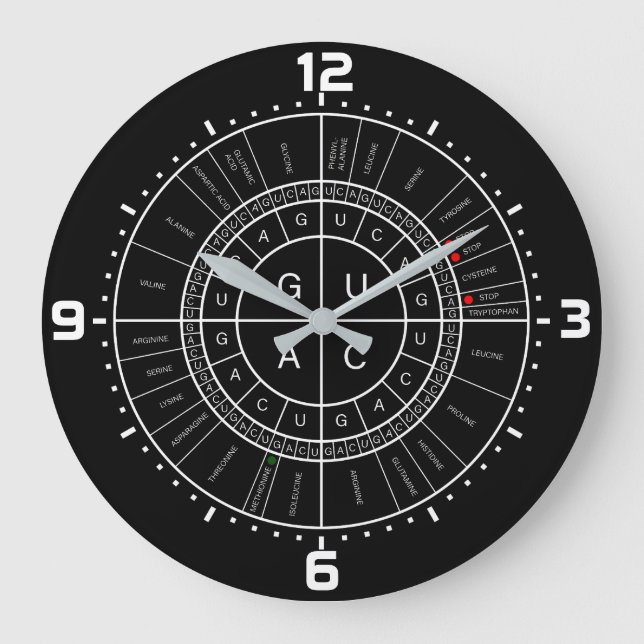 mRNA to AMINO ACID CODON WHEEL Large Clock (Front)