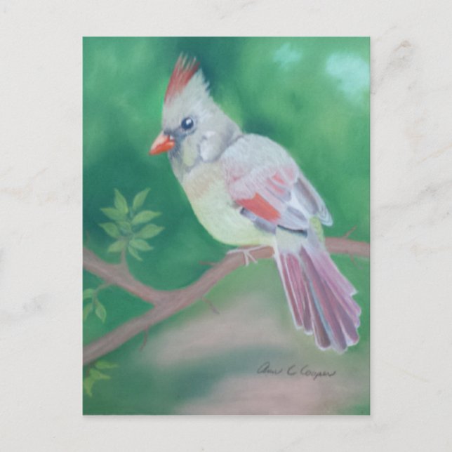 Mrs. Cardinal Postcard (Front)