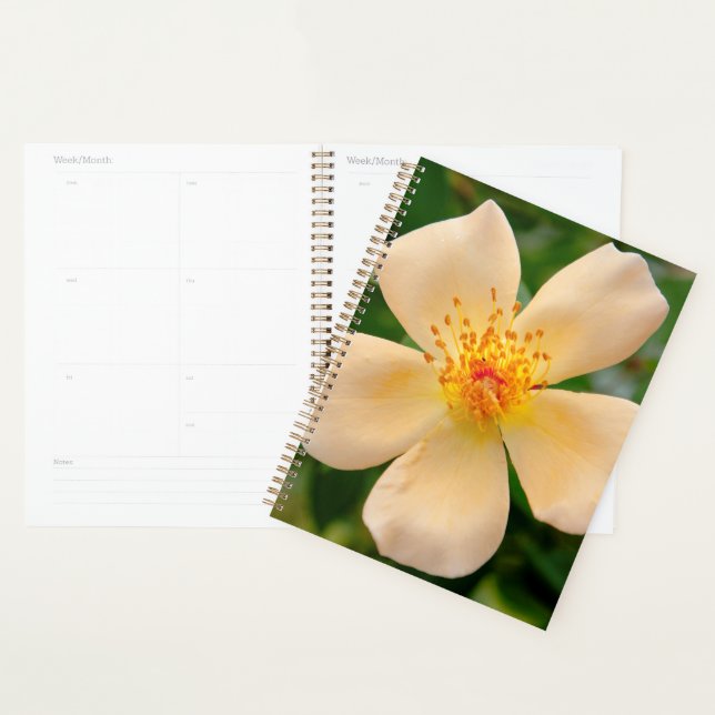 Mrs. Oakley Fisher Rose Planner (Display)