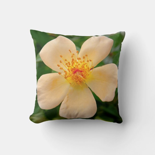 Mrs. Oakley Fisher Rose Throw Pillow (Front)
