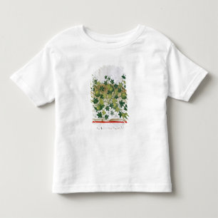 Ms 3054 fol.20 Melons, from 'Tacuinum Sanitatis' Toddler T-shirt