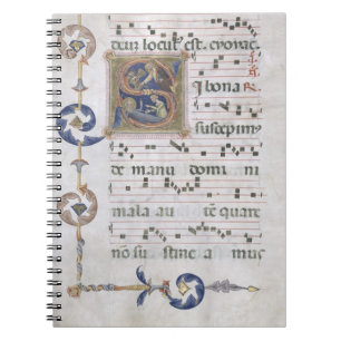 Ms 564 f.13v Page with historiated initial 'S' dep Notebook
