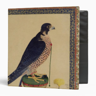 Ms E-14 Falcon, from a Moraqqa Binder