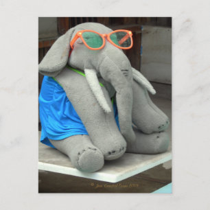 Ms Ella goes to the pool Postcard