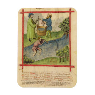 Ms Lat 9333 f.82 Fishing for Eels, from 'Tacuinum Magnet
