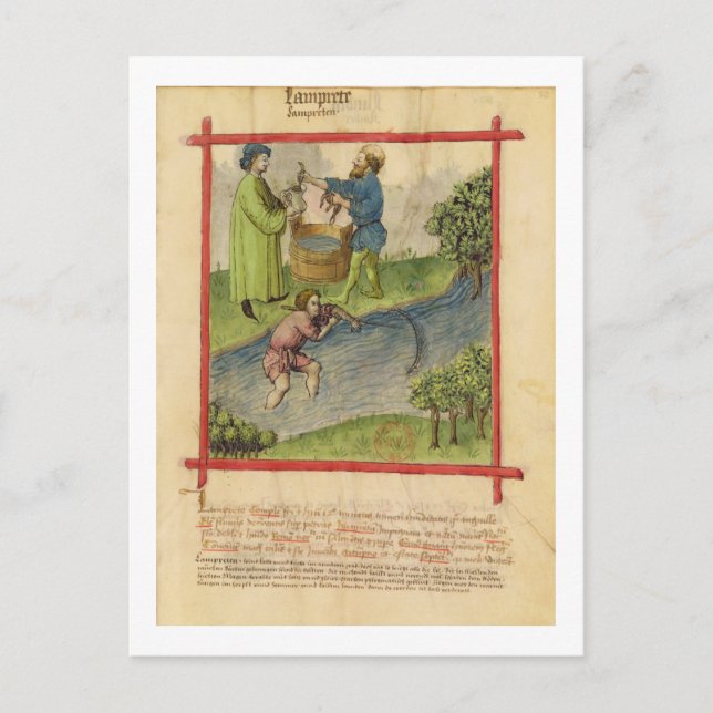 Ms Lat 9333 f.82 Fishing for Eels, from 'Tacuinum Postcard (Front)