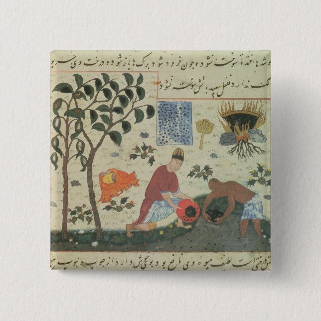 Ms Pers 332 Pepper tree and preparing pepper 2 Inch Square Button (Front)