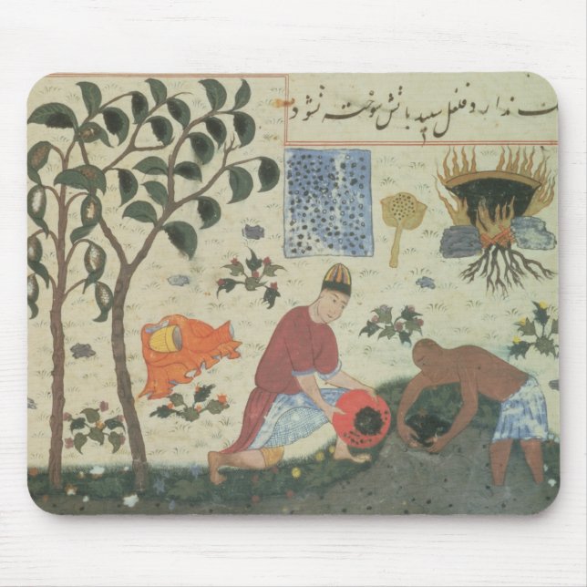 Ms Pers 332 Pepper tree and preparing pepper Mouse Pad (Front)