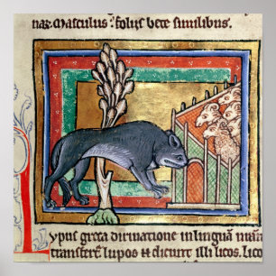 MS Roy A wolf outside a sheep fold Poster