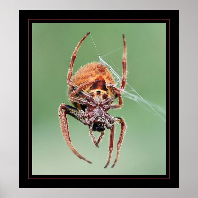 Ms. Weaver Poster (Front)