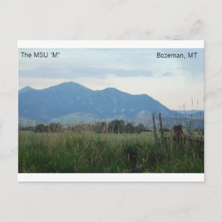 MSU "M" postcard