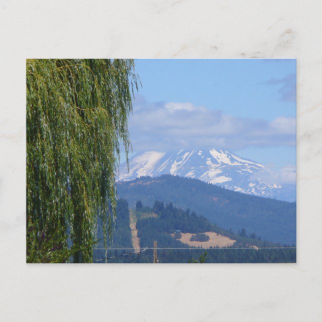 Mt Adams Postcard (Front)