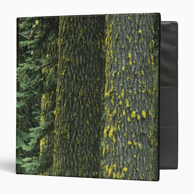 Mt. Ashland, Rogue RIver National Forest, Binder (Front/Inside)